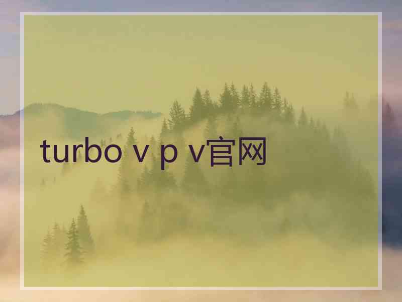 turbo v p v官网