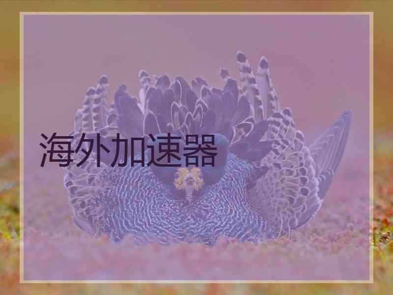 海外加速器