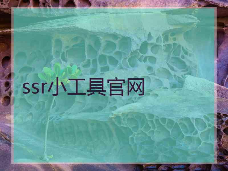 ssr小工具官网