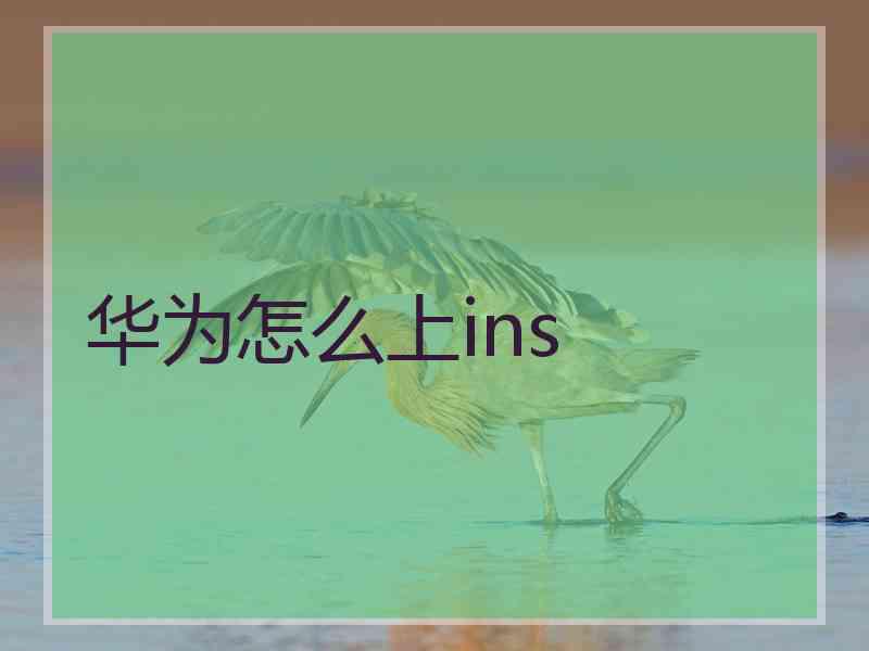 华为怎么上ins