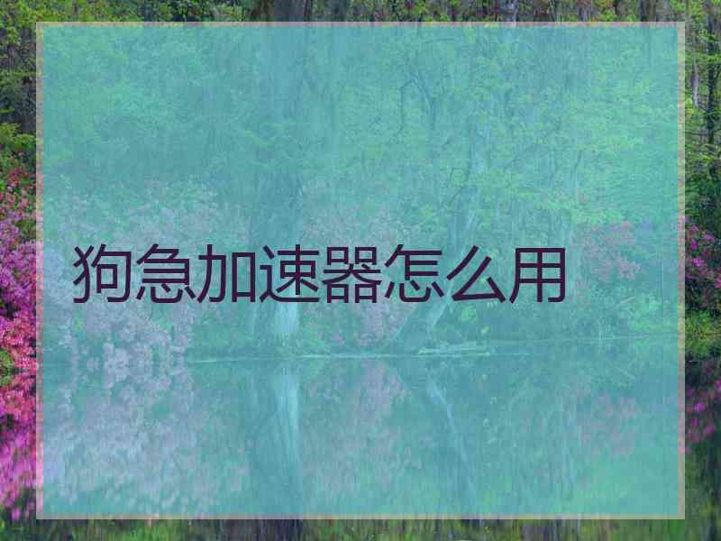 狗急加速器怎么用