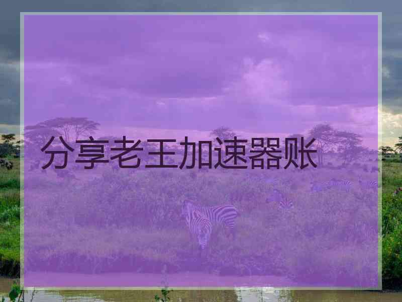 分享老王加速器账