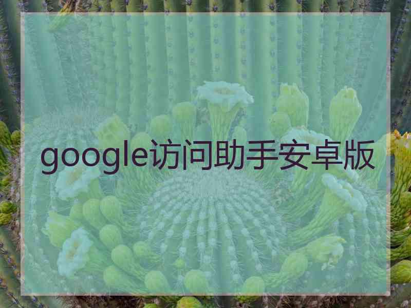 google访问助手安卓版