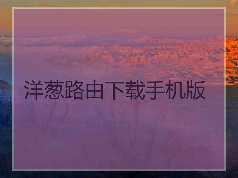 洋葱路由下载手机版