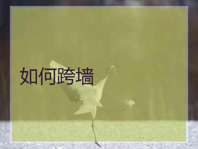 如何跨墙