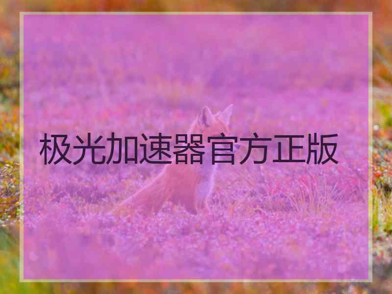 极光加速器官方正版