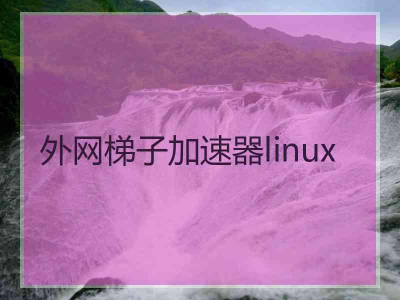 外网梯子加速器linux