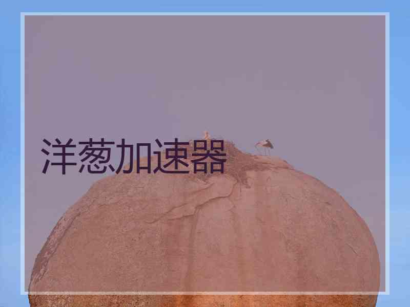 洋葱加速器
