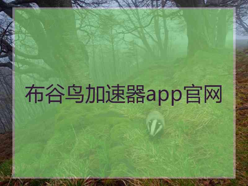 布谷鸟加速器app官网