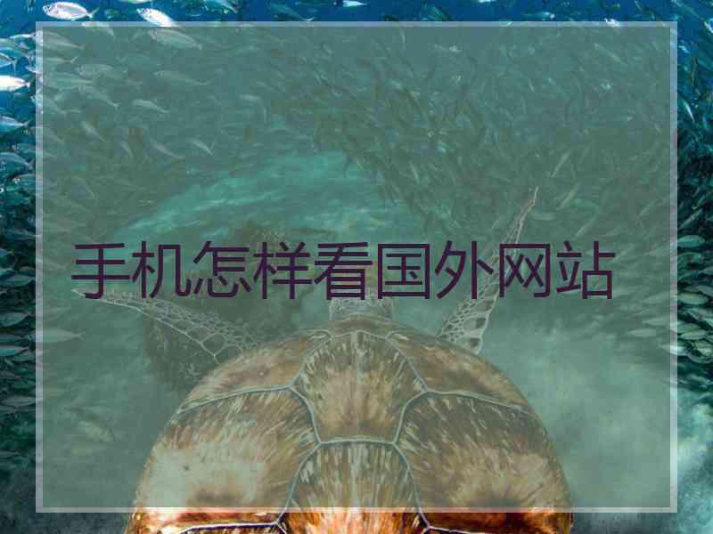 手机怎样看国外网站