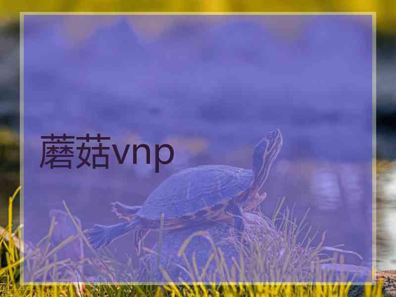 蘑菇vnp