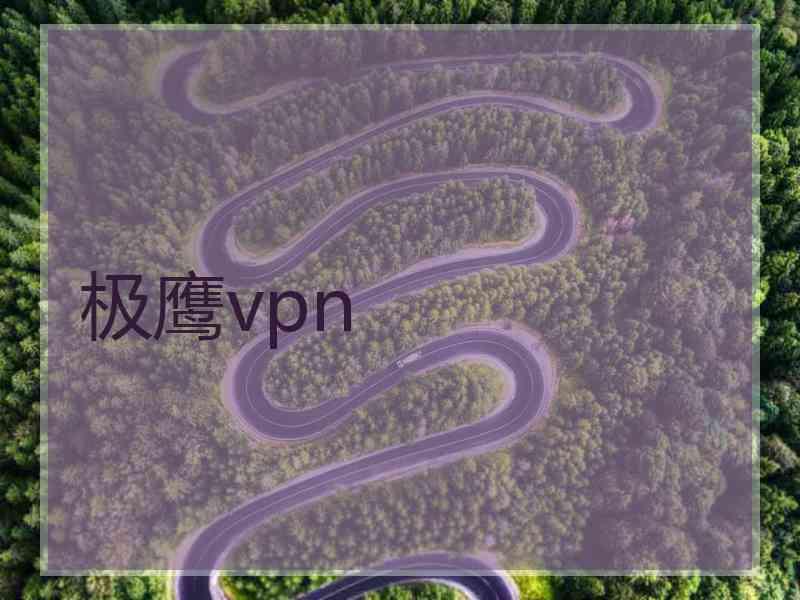 极鹰vpn