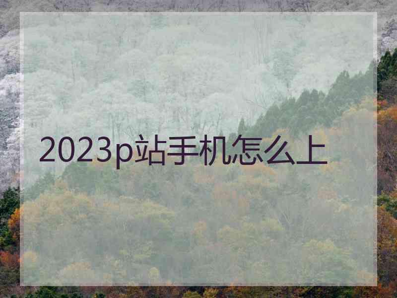 2023p站手机怎么上