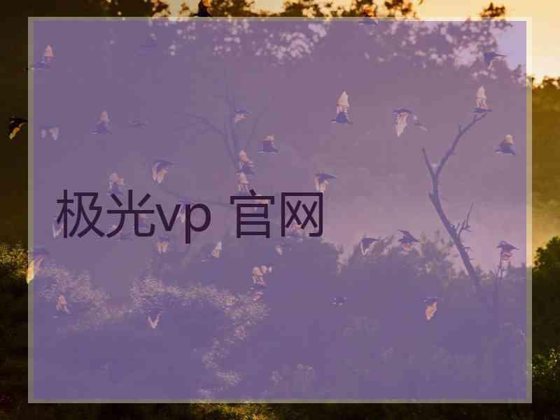 极光vp 官网