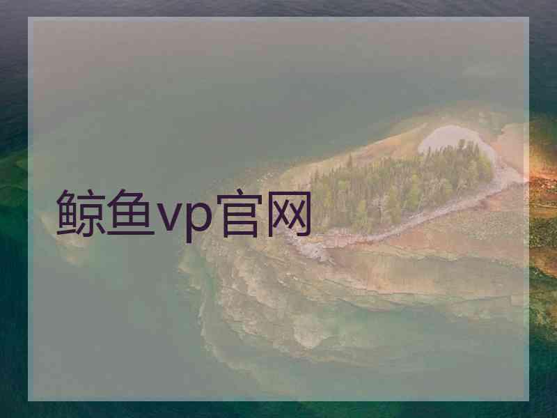 鲸鱼vp官网