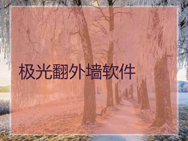 极光翻外墙软件