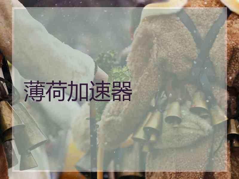 薄荷加速器
