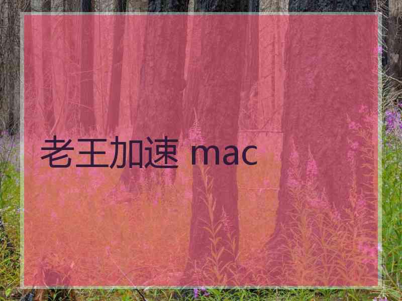 老王加速 mac