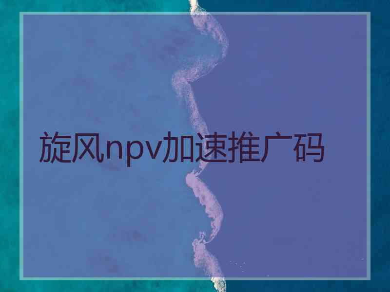 旋风npv加速推广码