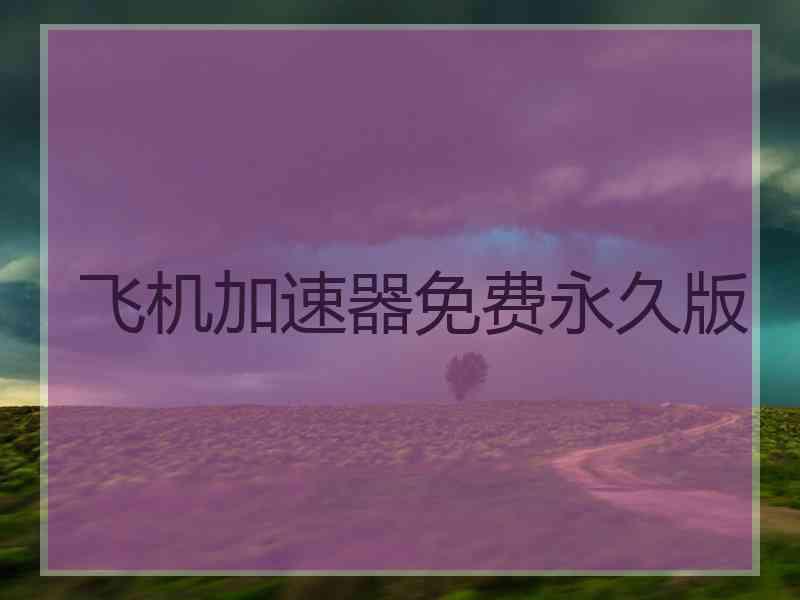 飞机加速器免费永久版
