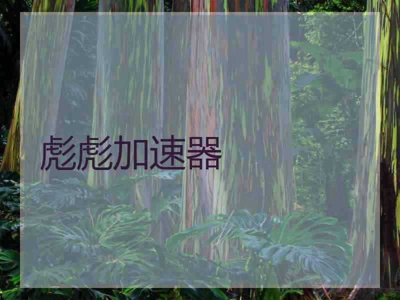 彪彪加速器