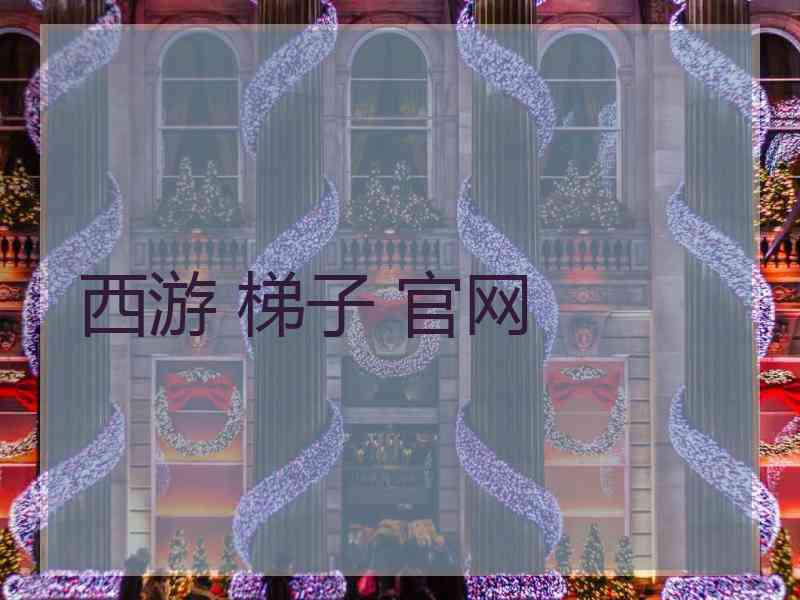 西游 梯子 官网