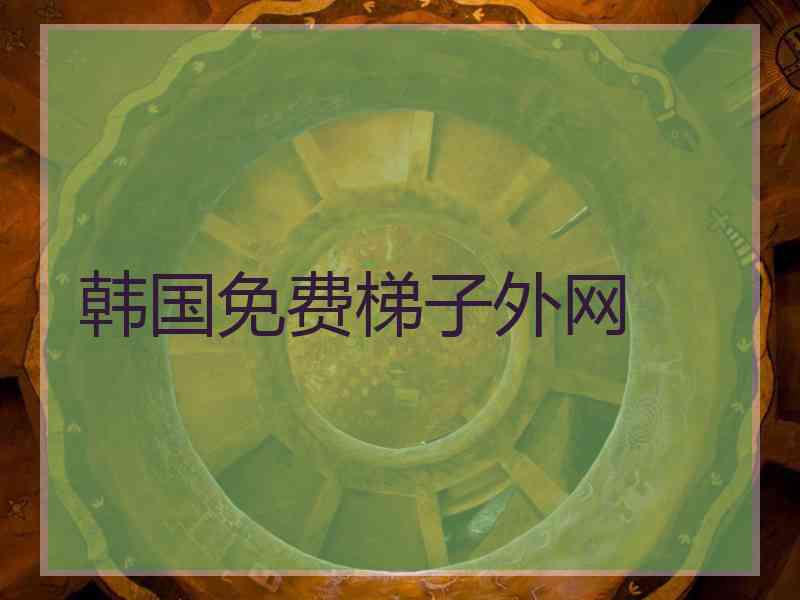 韩国免费梯子外网