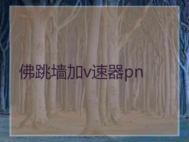 佛跳墙加v速器pn