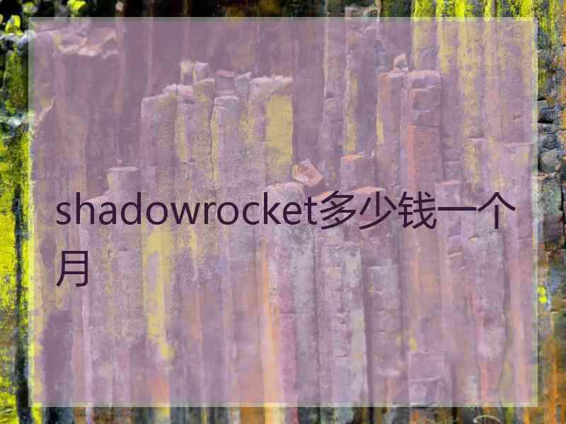 shadowrocket多少钱一个月