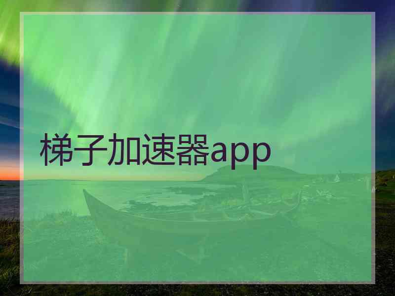 梯子加速器app