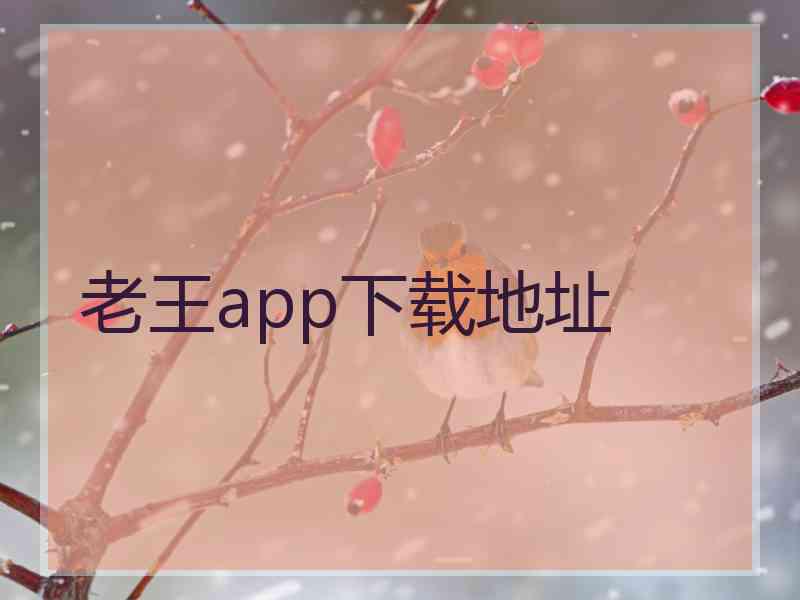 老王app下载地址