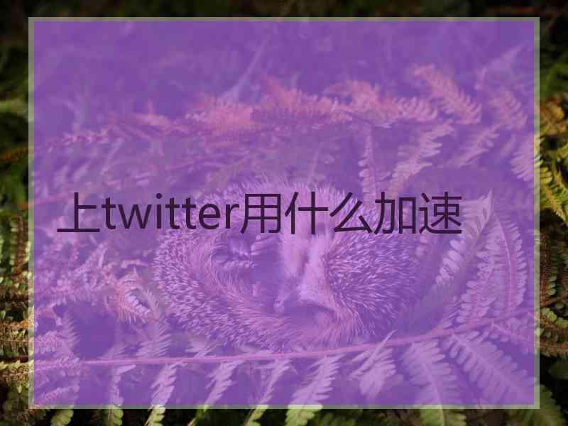 上twitter用什么加速