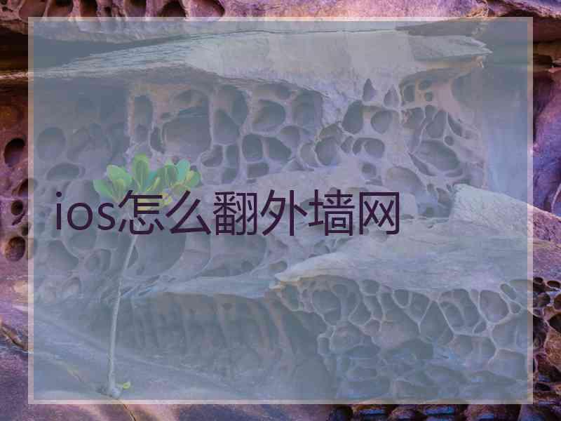 ios怎么翻外墙网