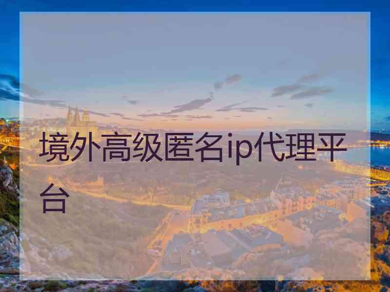境外高级匿名ip代理平台