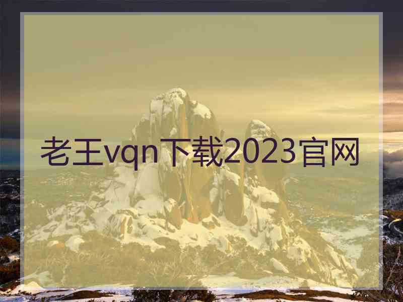 老王vqn下载2023官网