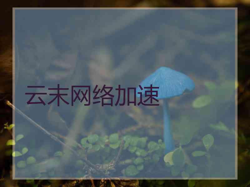 云末网络加速