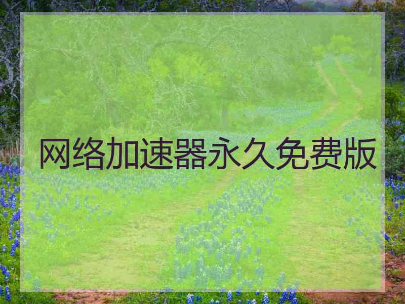 网络加速器永久免费版