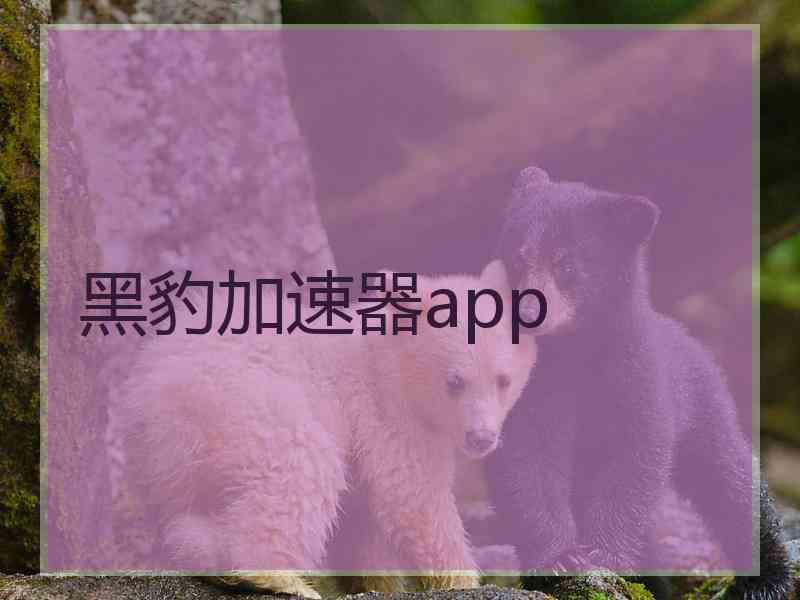 黑豹加速器app
