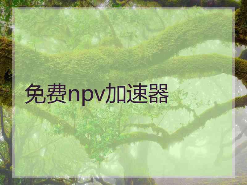 免费npv加速器