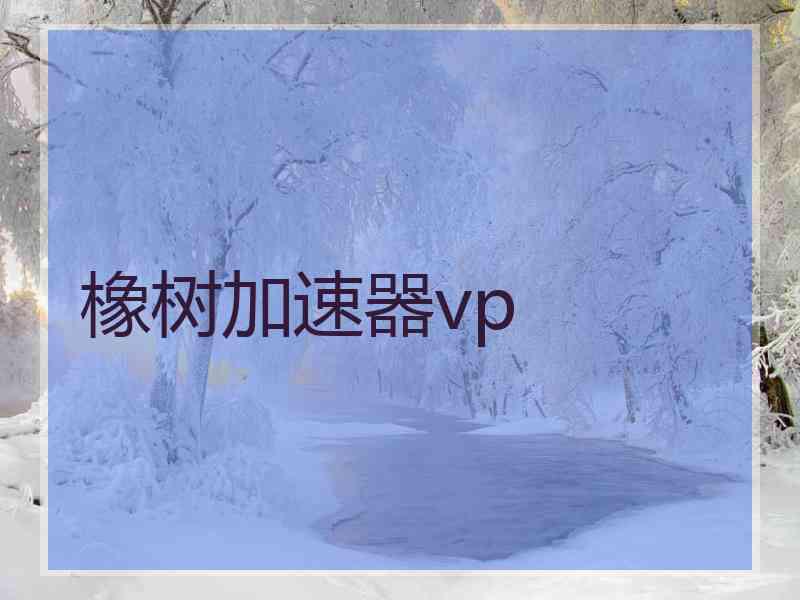 橡树加速器vp