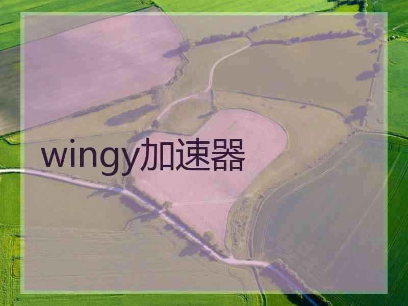 wingy加速器