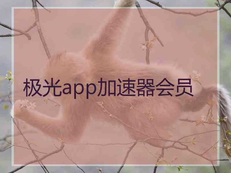 极光app加速器会员