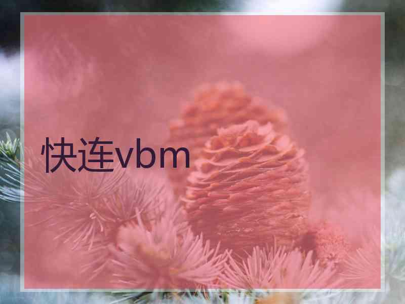 快连vbm