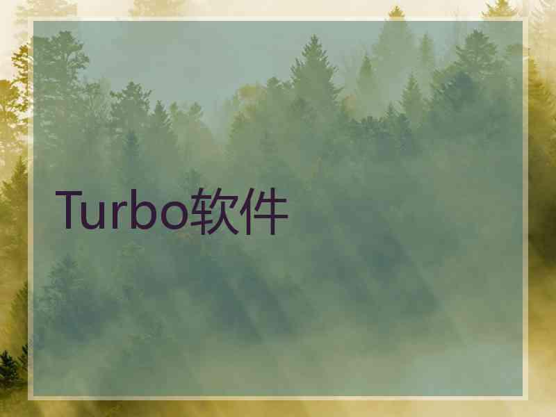 Turbo软件