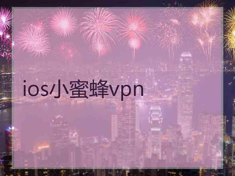 ios小蜜蜂vpn