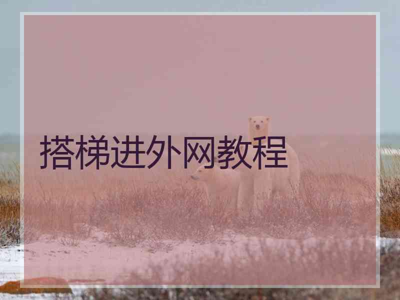 搭梯进外网教程