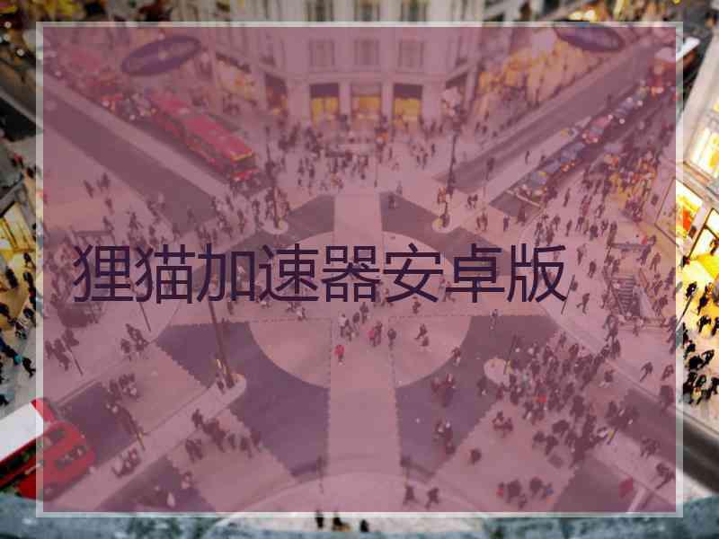 狸猫加速器安卓版