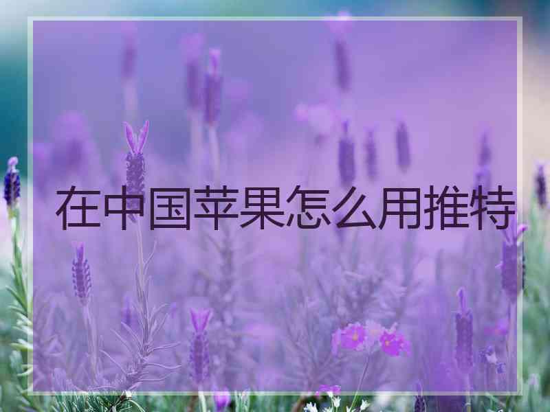 在中国苹果怎么用推特