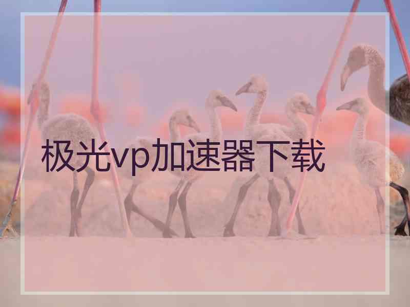 极光vp加速器下载