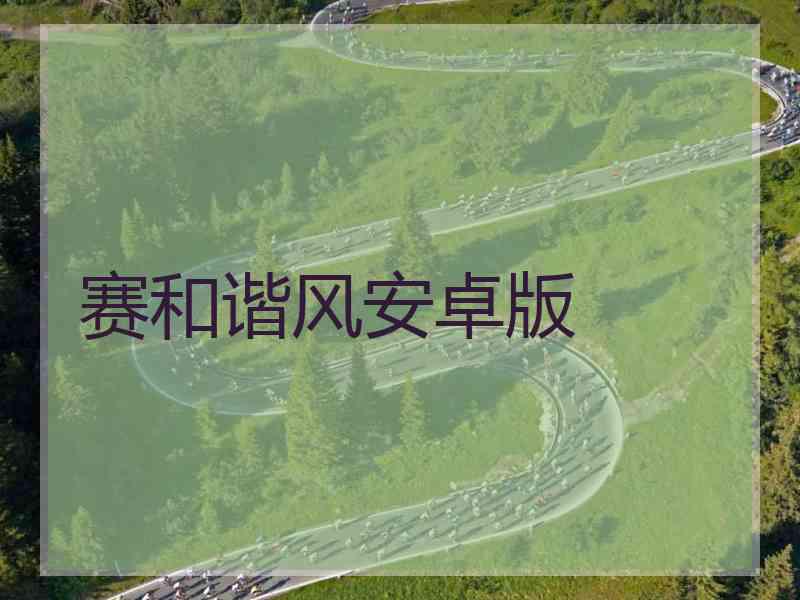 赛和谐风安卓版